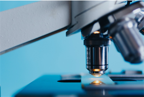 Microscope